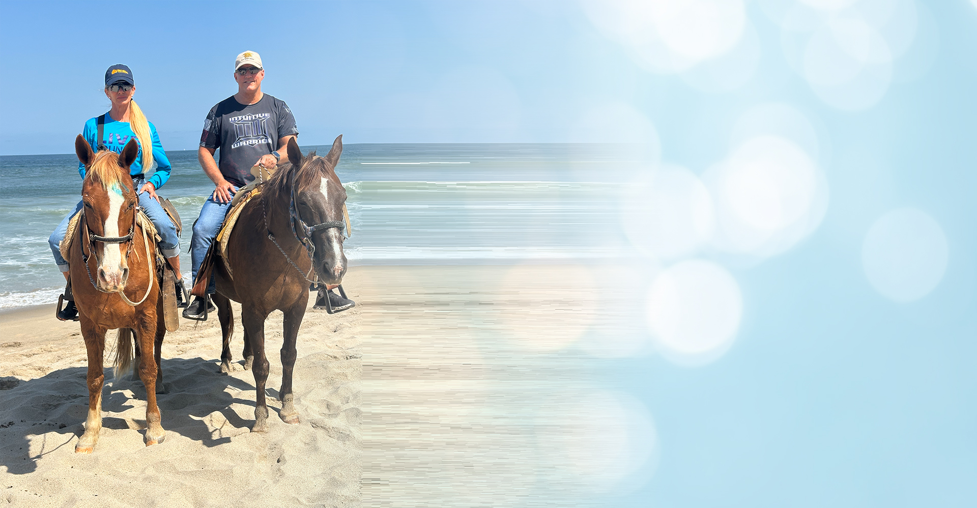 website-bannger-bg3